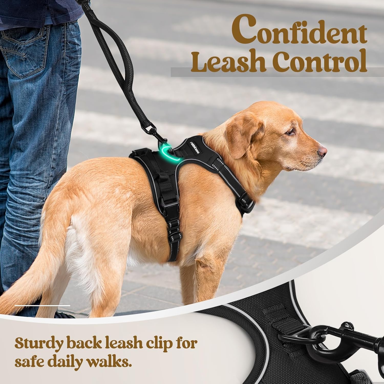 rabbitgoo Dog Harness, No-Pull Pet Harness with 2 Leash Clips, Adjustable Soft Padded Vest, Reflective No-Choke Pet Oxford Vest with Easy Control Handle for Medium Dogs, Black, M - Image 8
