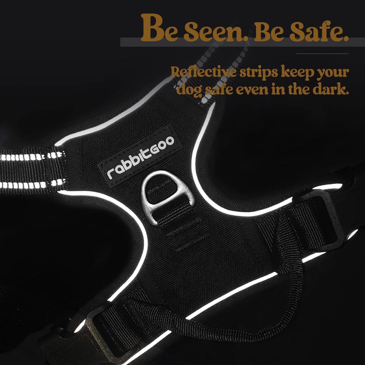 rabbitgoo Dog Harness, No-Pull Pet Harness with 2 Leash Clips, Adjustable Soft Padded Vest, Reflective No-Choke Pet Oxford Vest with Easy Control Handle for Medium Dogs, Black, M - Image 9