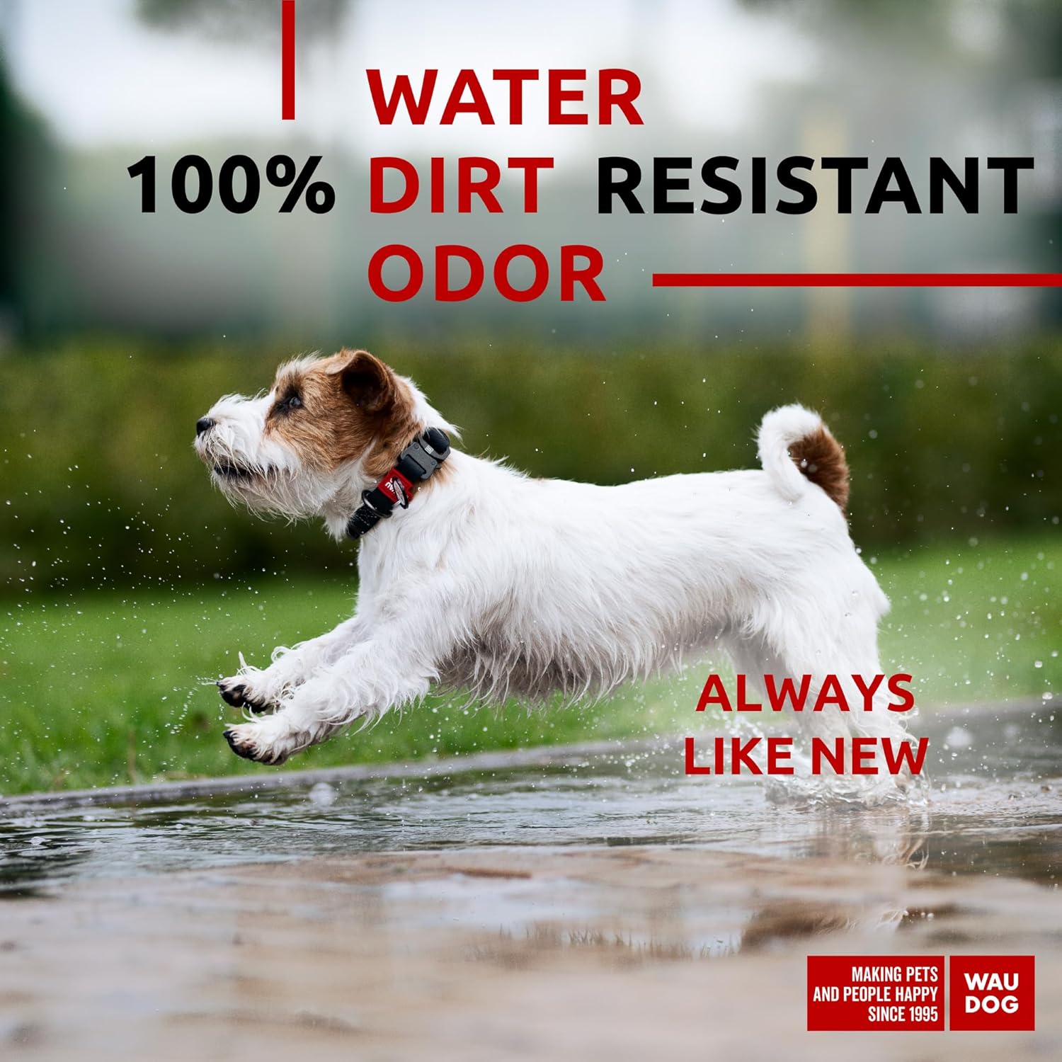 Waterproof Dog Collar - Adjustable Dog Collar for Large Dogs, Small and Medium Dogs - Heavy Duty Dog Collars with Durable Metal Clasp and QR Dog Tag - Boy & Girl Dog Collars (Black) - Image 3