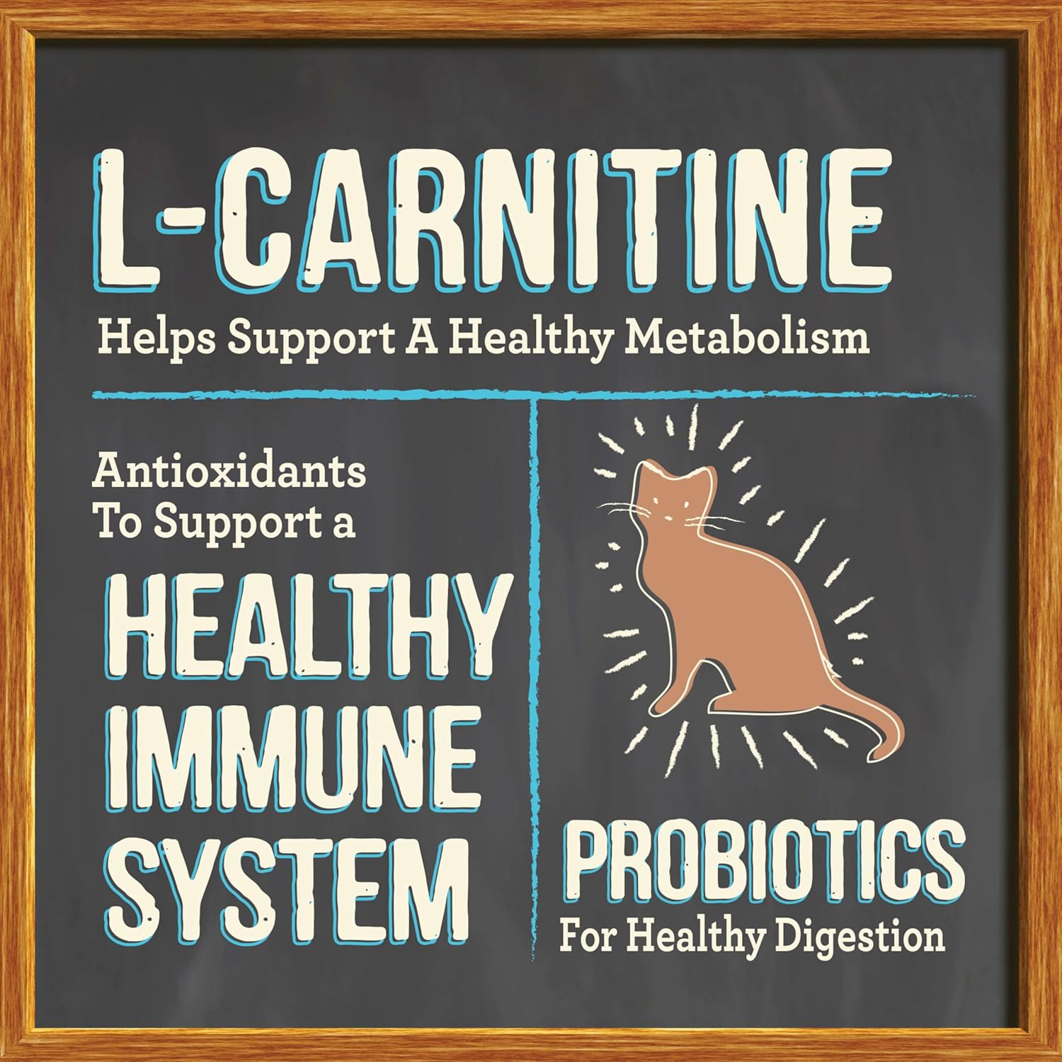 Merrick Purrfect Bistro Grain Free Real Chicken Adult Dry Cat Food, 12 lbs. - Image 6