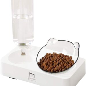 Marchul Tilted Cat Bowl Set for Food and Water, Food Feeding Raised Dishes for Puppies