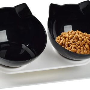 Cat Bowl with Raised Stand,Detachable and Transparent Double Cat Food Bowl,15° Tilted Cat Bowls Stress-Free Suit for Cats Small Dogs (Black)