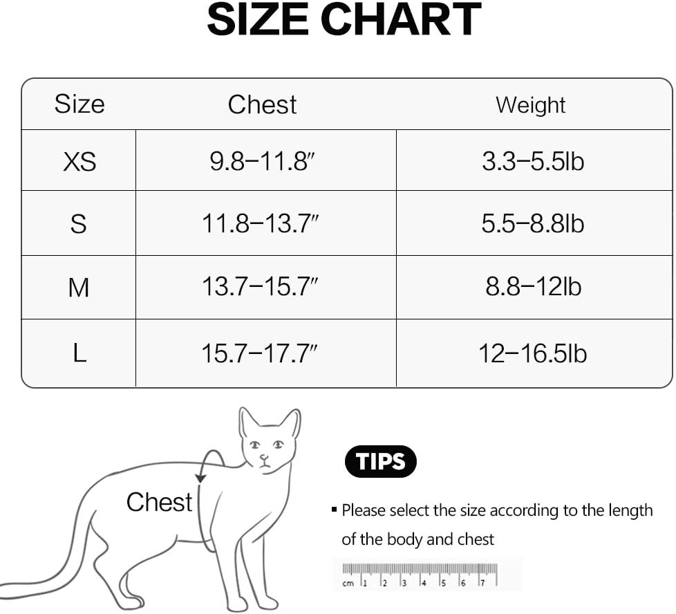 Cat Harness Leash Straps Soft and Comfortable Cat Walking Jacket with Running Cushioning and Escape Proof for Puppies with Cationic Fabric - Image 3