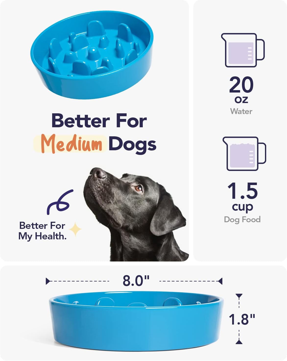 LE TAUCI Slow Feeder Dog Bowls Ceramic, 1.5 Cups Slow Eater Bowl for Dogs, Puppy Slow Feeder Bowl for Fast Eaters, Dog Dishes to Slow Down Eating, Maze Dog Bowl, Vortex Blue - Image 6