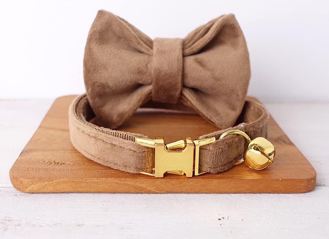 Personalized Cat Collar with Name ID Tag Engraved and Bell, Customized Velvet Collars for Puppy Kittens (Brown, L) - Image 4