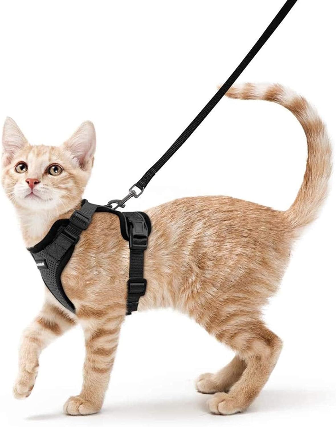 rabbitgoo Cat Harness and Leash for Walking, Escape Proof Soft Adjustable Vest Harnesses for Small Medium Cats, Easy Control Breathable Reflective Strips Jacket, XS, Black - Image 2