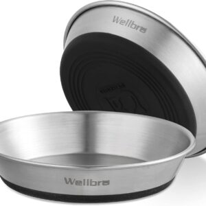 Wellbro Cat Bowls, 2 Pcs Stainless Steel Cat Bowls for Food and Water, Whisker Fatigue Shallow Non-Slip Dishes Plates for Small Dog Puppies Cats