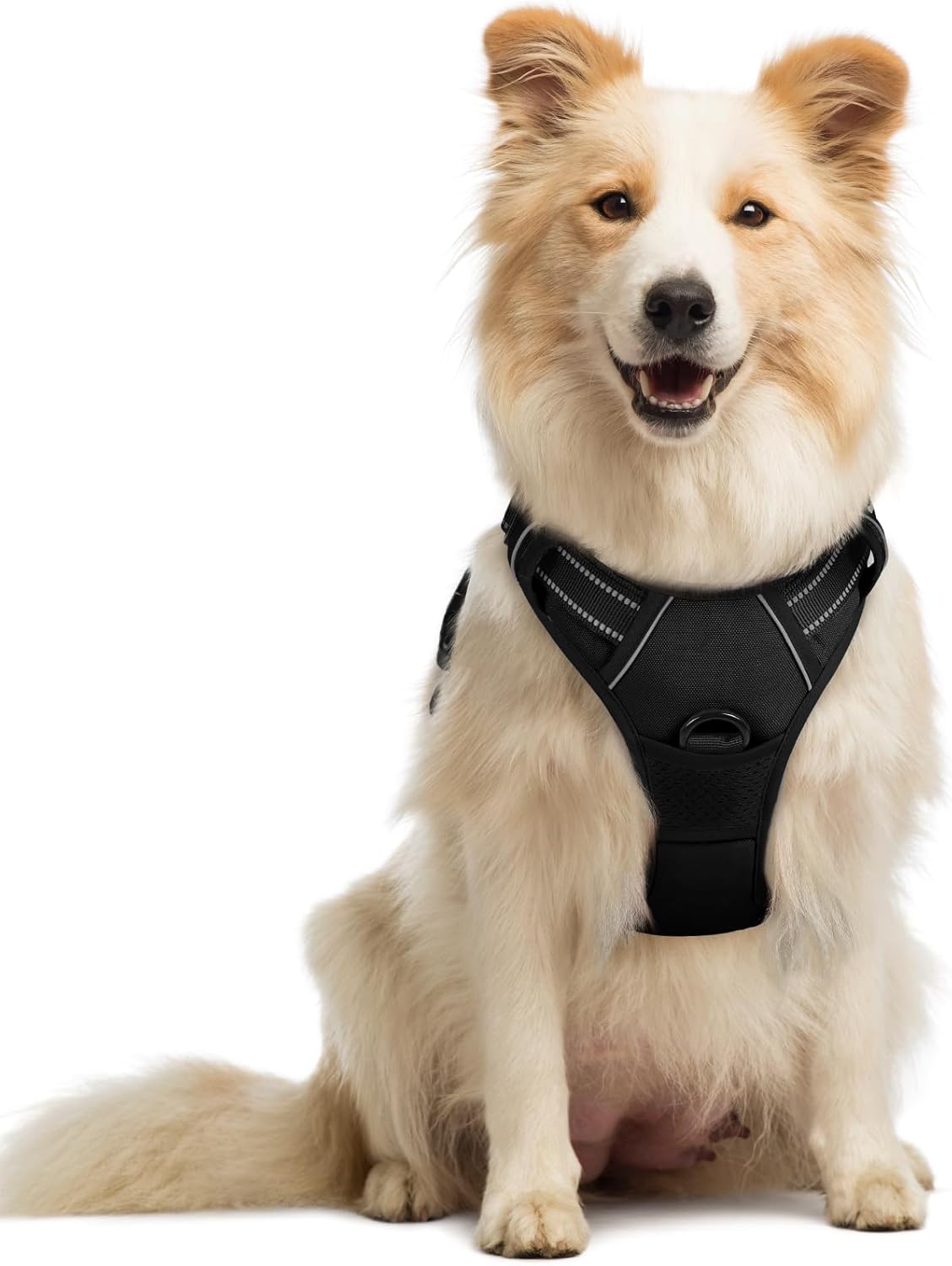 rabbitgoo Dog Harness, No-Pull Pet Harness with 2 Leash Clips, Adjustable Soft Padded Vest, Reflective No-Choke Pet Oxford Vest with Easy Control Handle for Medium Dogs, Black, M - Image 2
