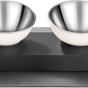 Marchul Stainless Steel Elevated Dog Cat Food Bowls Set with Anti-Slip Mat, Dual Raised Dish for Healthy Digestion, 1-Second Detachable & Dishwasher Safe