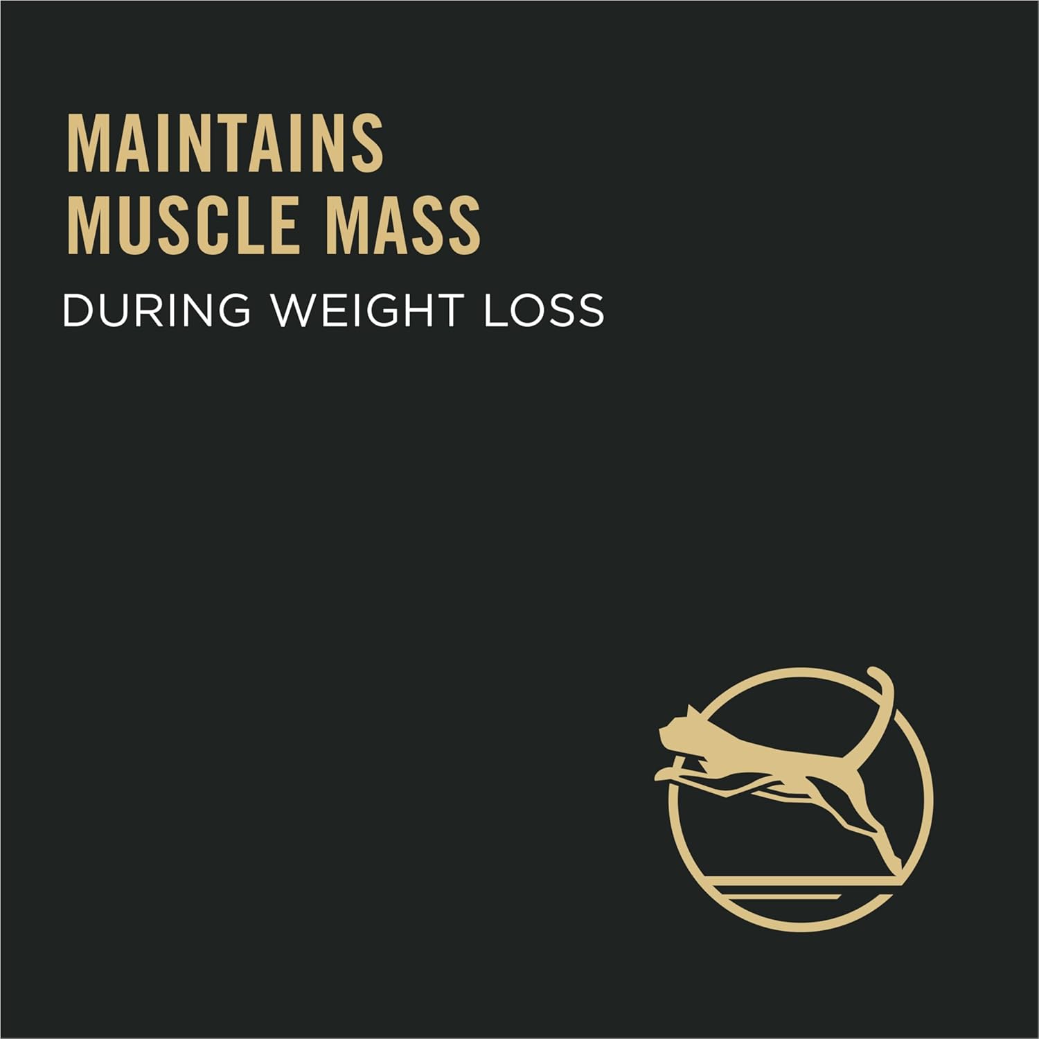 Pro Plan Dry Cat Food, Weight Management, Chicken & Rice 7.26KG - Image 5