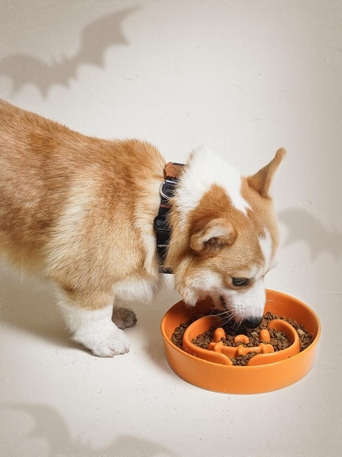 LE TAUCI Dog Bowls Slow Feeder Ceramic, 1.5 Cups Slow Feeding Dog Bowl Small Medium Breed, Puppy Slow Feeder Bowl for Fast Eater, Dog Dishes to Slow Down Eating, Puzzle Dog Food Bowl, Pumpkin Orange - Image 3