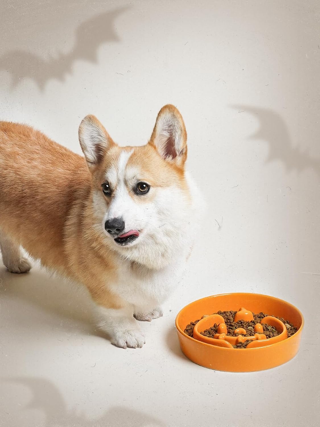 LE TAUCI Dog Bowls Slow Feeder Ceramic, 1.5 Cups Slow Feeding Dog Bowl Small Medium Breed, Puppy Slow Feeder Bowl for Fast Eater, Dog Dishes to Slow Down Eating, Puzzle Dog Food Bowl, Pumpkin Orange - Image 6