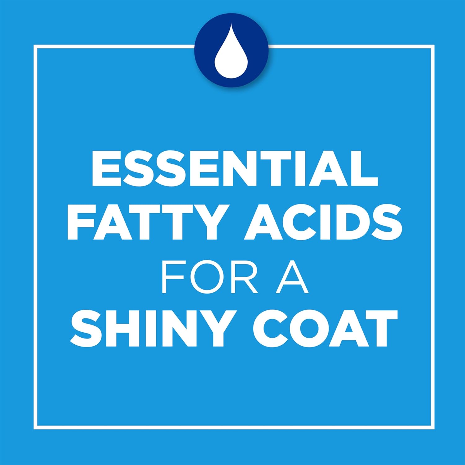 Cat Chow Complete Dry Cat Food, Real Chicken - 8 kg Bag - Image 6