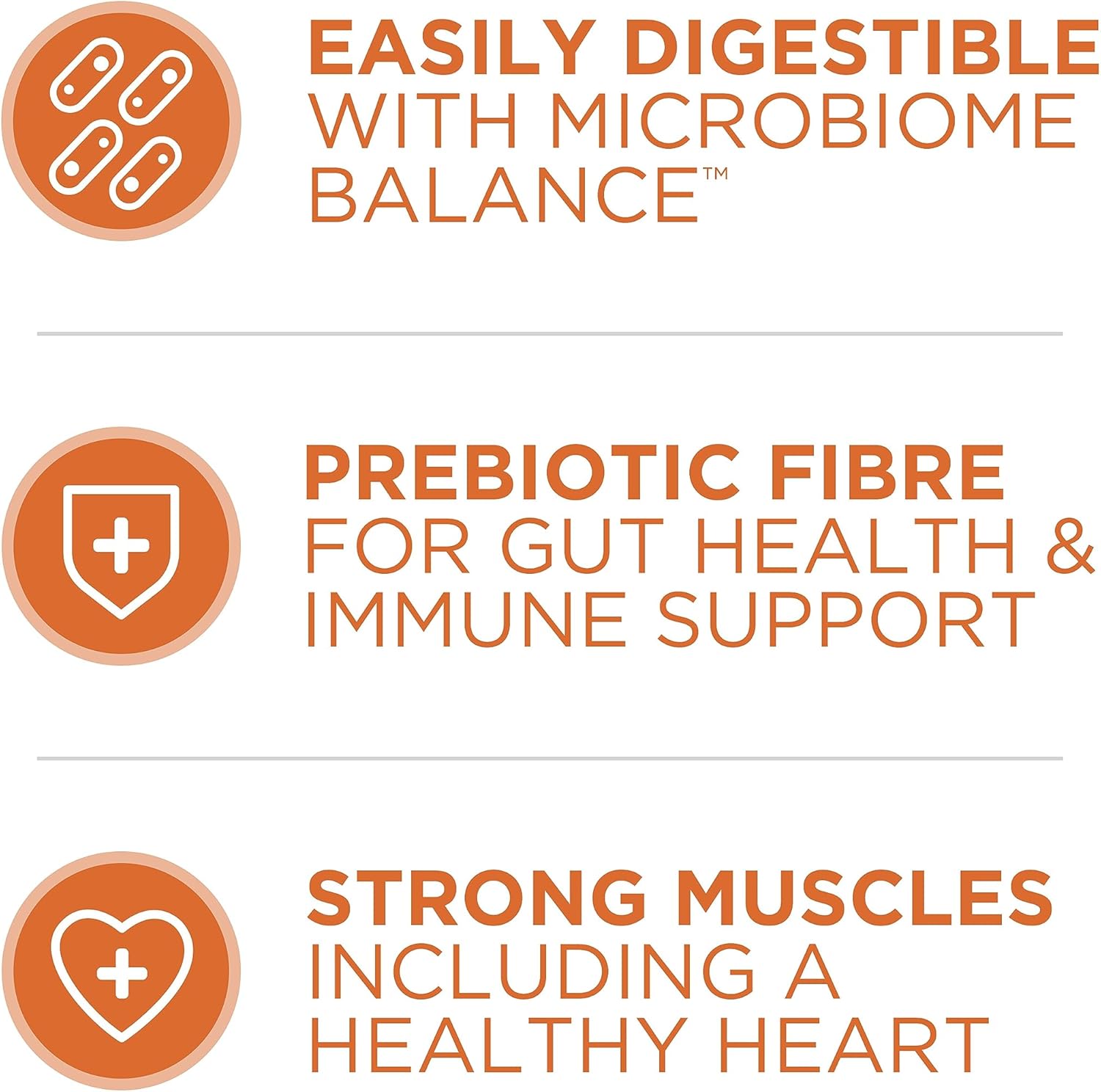 Purina ONE Dry Cat Food, Chicken & Rice Formula - 3 kg Bag - Image 6