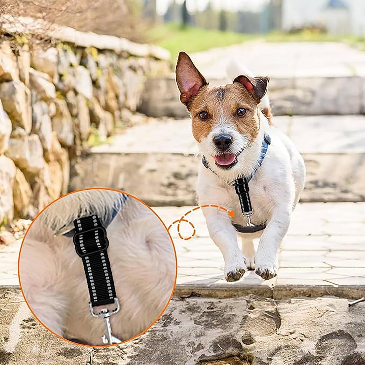 MEISO Dog Collar Safety Clip 3PCS Adjustable Double Ended Backup Clasp Leash Connector for Walking Running Training Travel - Image 7