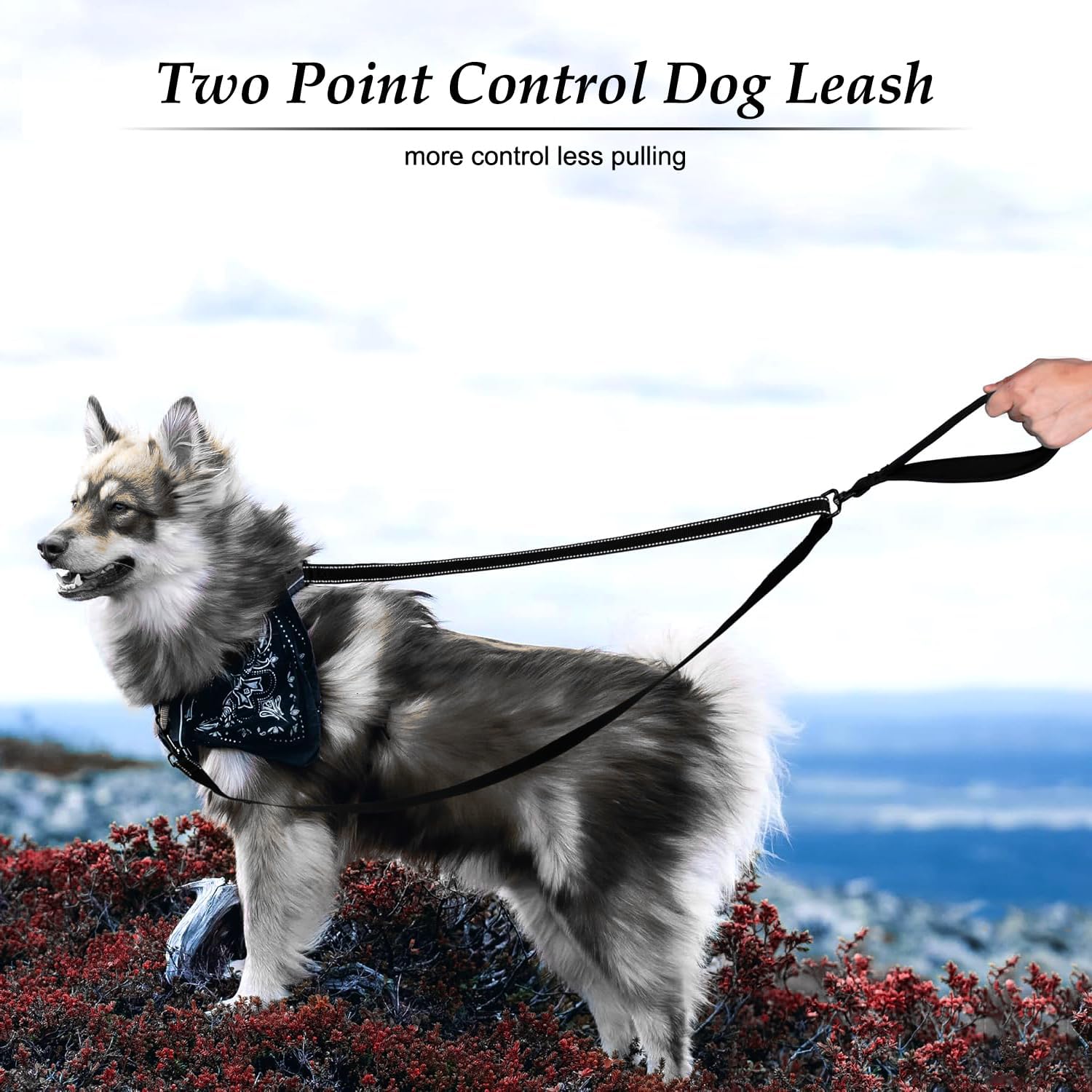 SevenFish Anti-Pull Dog Leash, No Tangle Adjustable Dog Lead with Soft Double Padded Handle, Heavy Duty Reflective Dog Leash for Large Medium Dogs Training and Walking, Black - Image 4