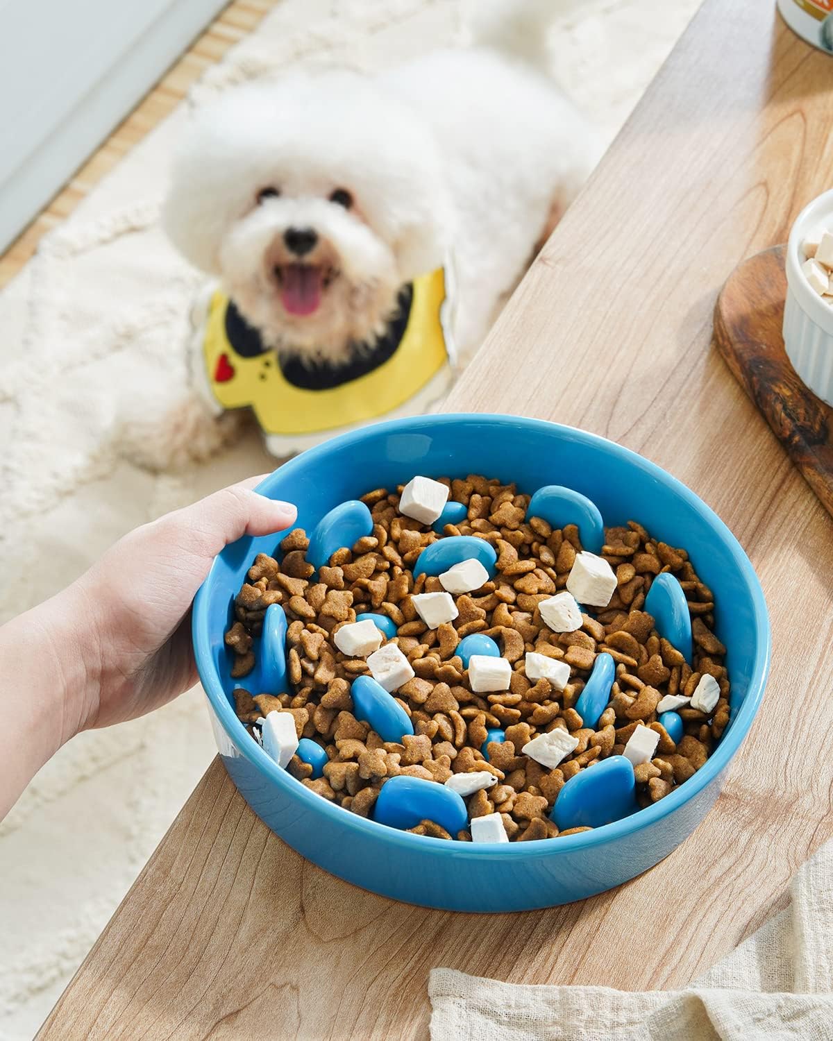 LE TAUCI Slow Feeder Dog Bowls Ceramic, 1.5 Cups Slow Eater Bowl for Dogs, Puppy Slow Feeder Bowl for Fast Eaters, Dog Dishes to Slow Down Eating, Maze Dog Bowl, Vortex Blue - Image 3