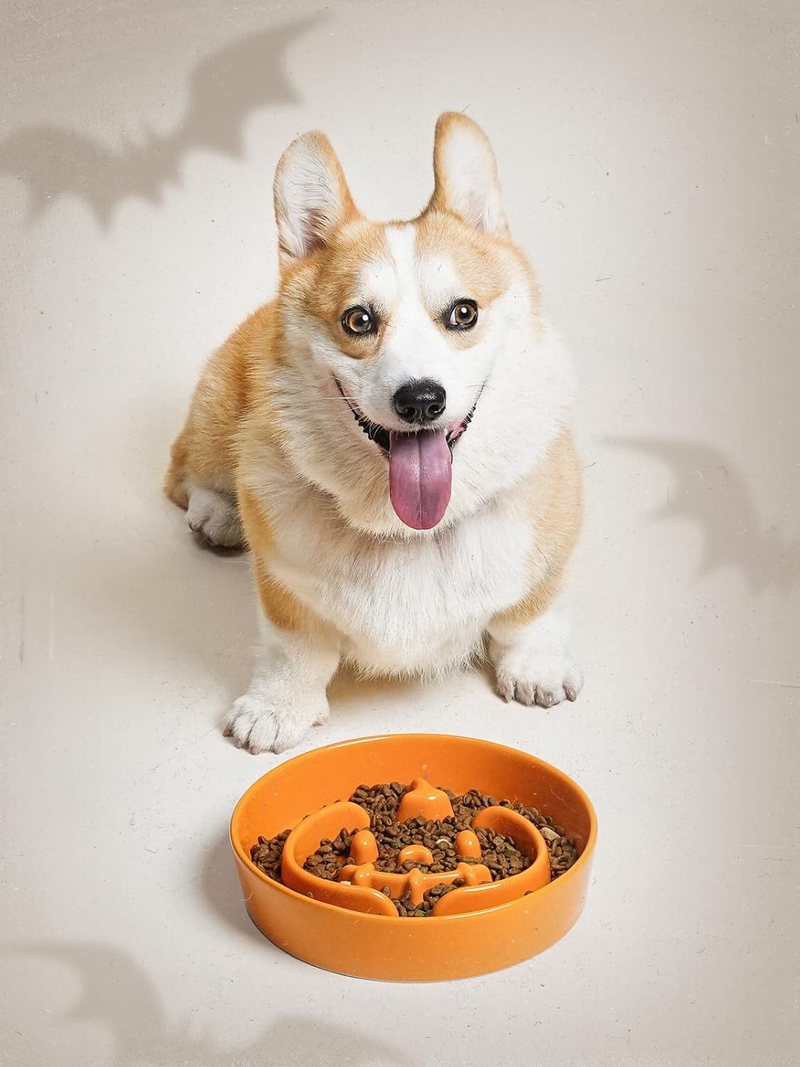 LE TAUCI Dog Bowls Slow Feeder Ceramic, 1.5 Cups Slow Feeding Dog Bowl Small Medium Breed, Puppy Slow Feeder Bowl for Fast Eater, Dog Dishes to Slow Down Eating, Puzzle Dog Food Bowl, Pumpkin Orange - Image 7