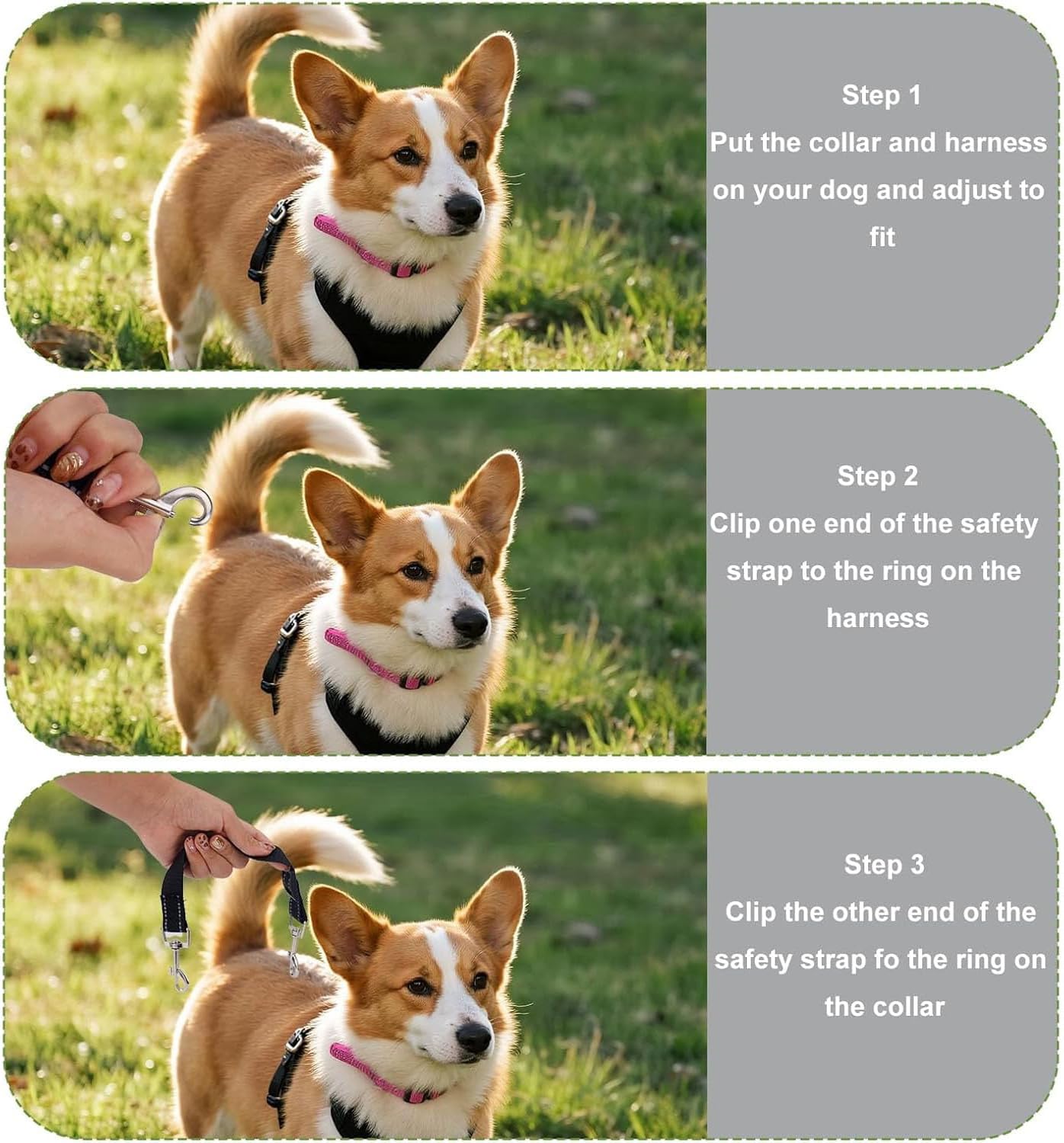 MEISO Dog Collar Safety Clip 3PCS Adjustable Double Ended Backup Clasp Leash Connector for Walking Running Training Travel - Image 5
