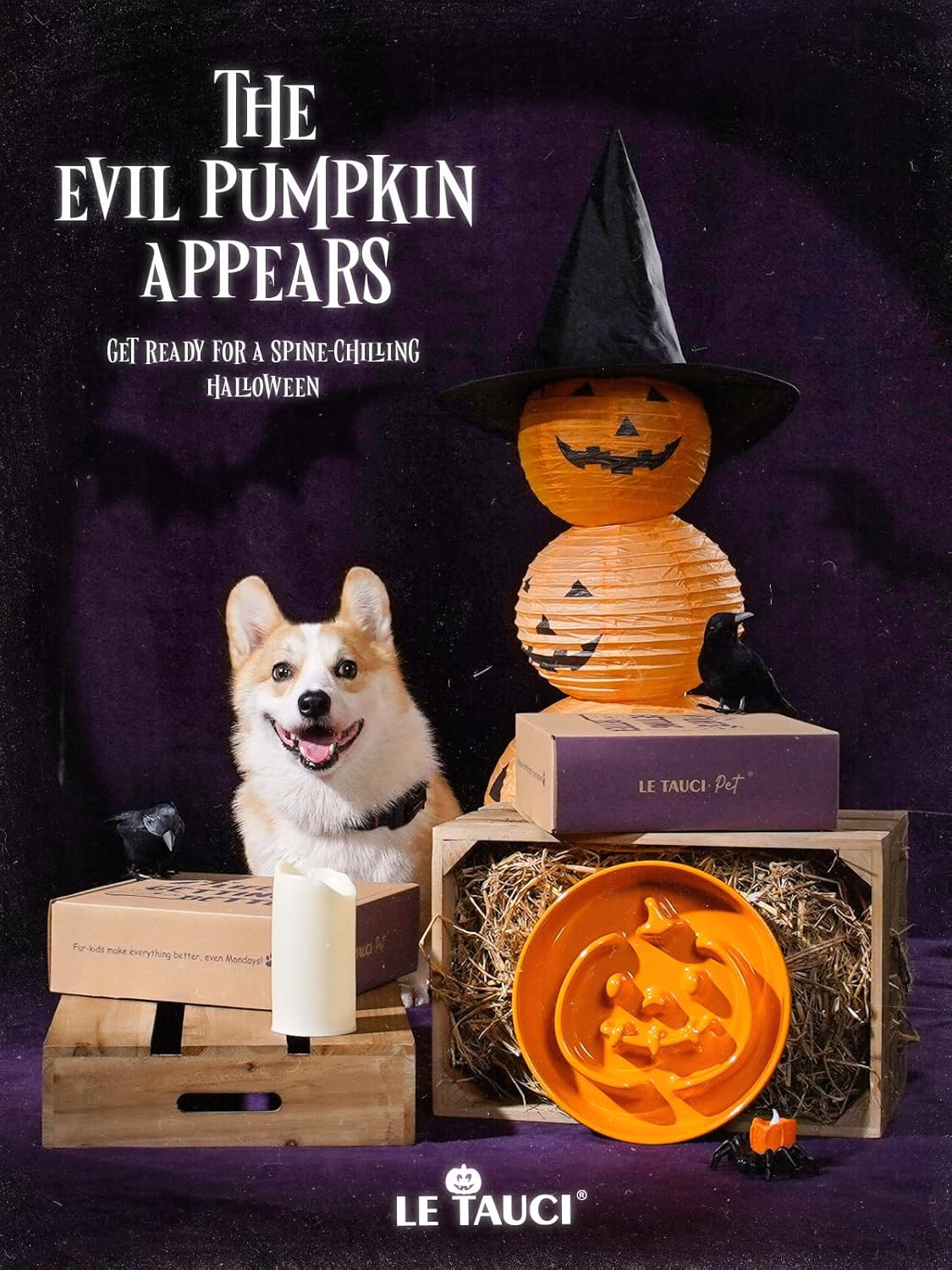 LE TAUCI Dog Bowls Slow Feeder Ceramic, 1.5 Cups Slow Feeding Dog Bowl Small Medium Breed, Puppy Slow Feeder Bowl for Fast Eater, Dog Dishes to Slow Down Eating, Puzzle Dog Food Bowl, Pumpkin Orange - Image 9