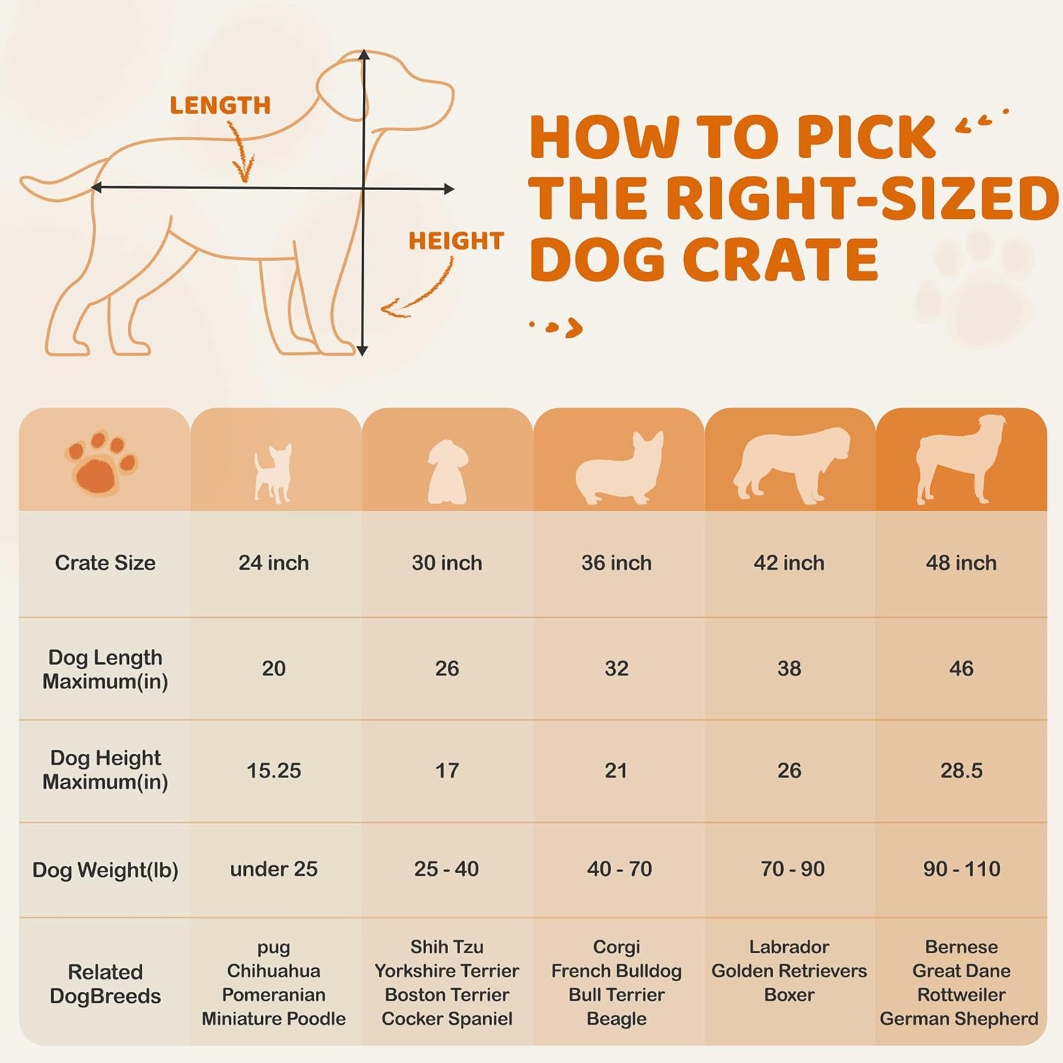 Yaheetech 30 inch Double Door Dog Crate w/Divider for Puppy, Collapsible Metal Dog Kennel with Removable Tray, Portable Travel Cage, Black - Image 10