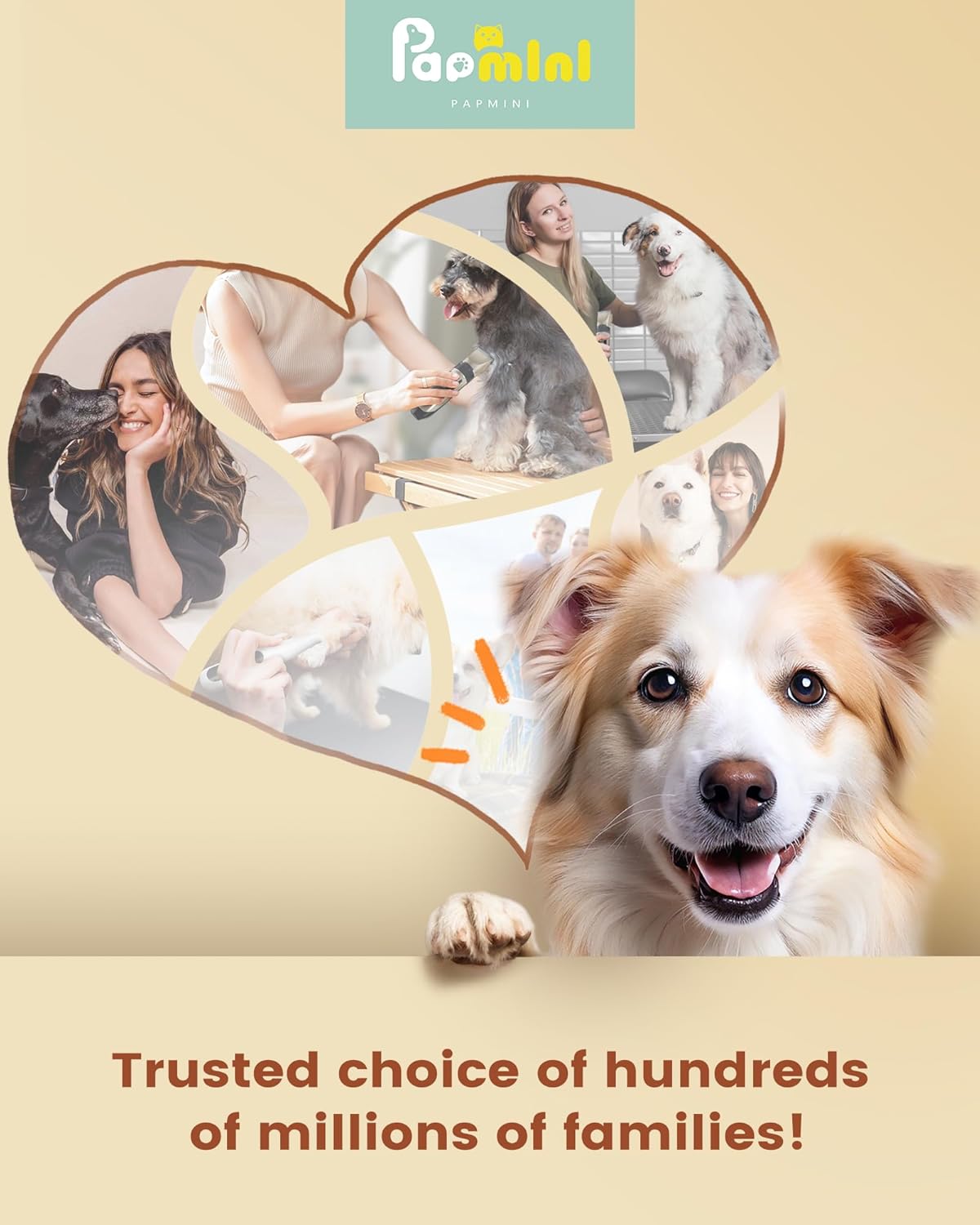 PAPMINI 2 in 1 Dog Grooming Kit, Low Noise Rechargeable Dog Clippers for Grooming, Cordless Pet Hair Clippers and Paw Trimmer, Pet Shavers for Small Dogs Cats Animals (Gold) - Image 9