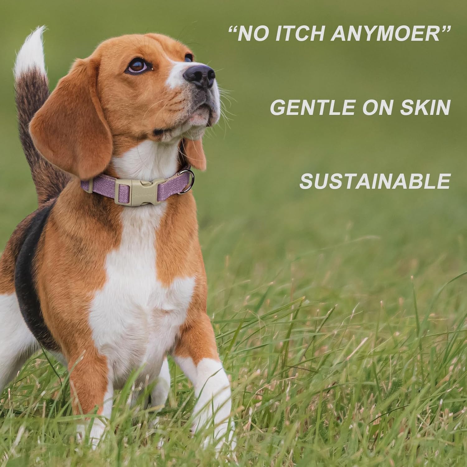 Plutus Pet Cotton Hemp Dog Collar and Leash Set, Adjustable Collar for Small, Medium, and Large Dogs, Heavy Duty and Soft on Skin, Lavender, S - Image 5