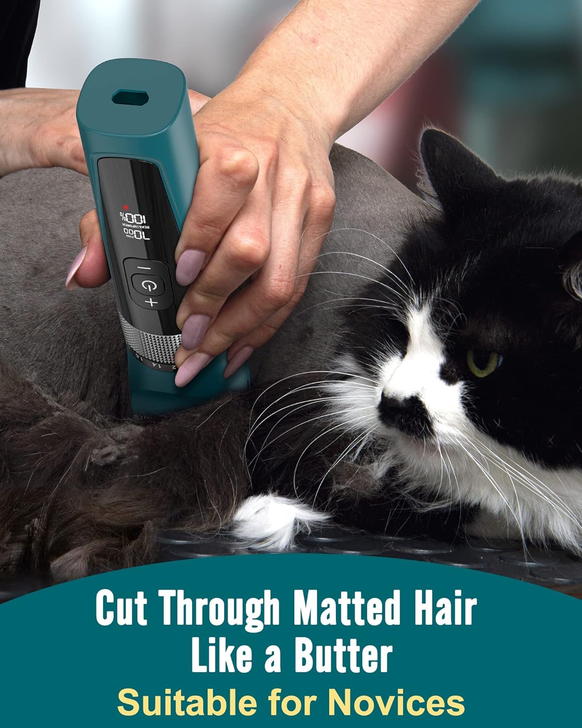 oneisall Cat Grooming Clippers for Matted Long Hair, 5-Speed Cat Grooming Kit Cordless Low Noise Pet Hair Clipper Trimmer Shaver for Dogs Cats Animals (Green) - Image 3
