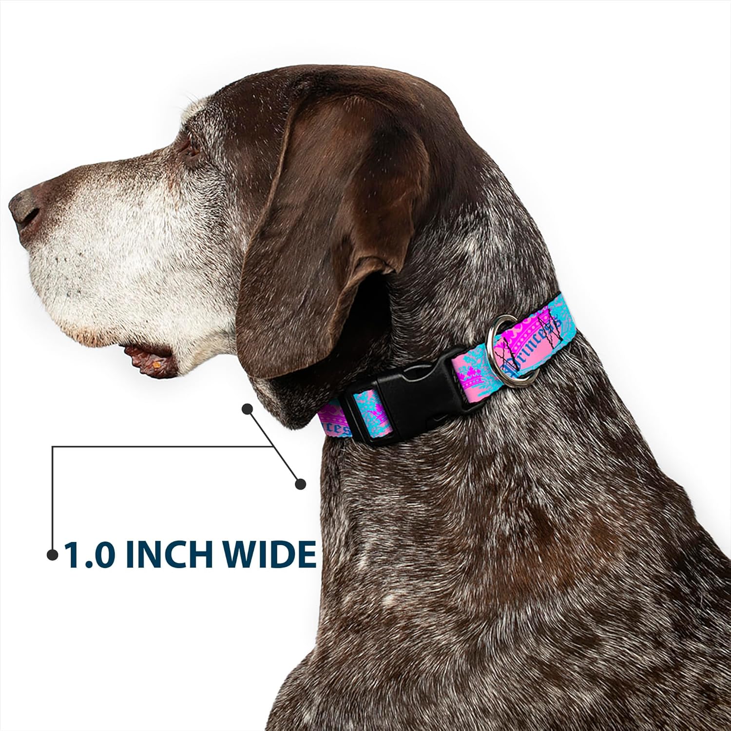 Buckle-Down PC-W30386-WM Dog Collar Plastic Clip Buckle, Crown Princess Oval Pink/Turquoise, 1.5" x 16-23" - Image 7