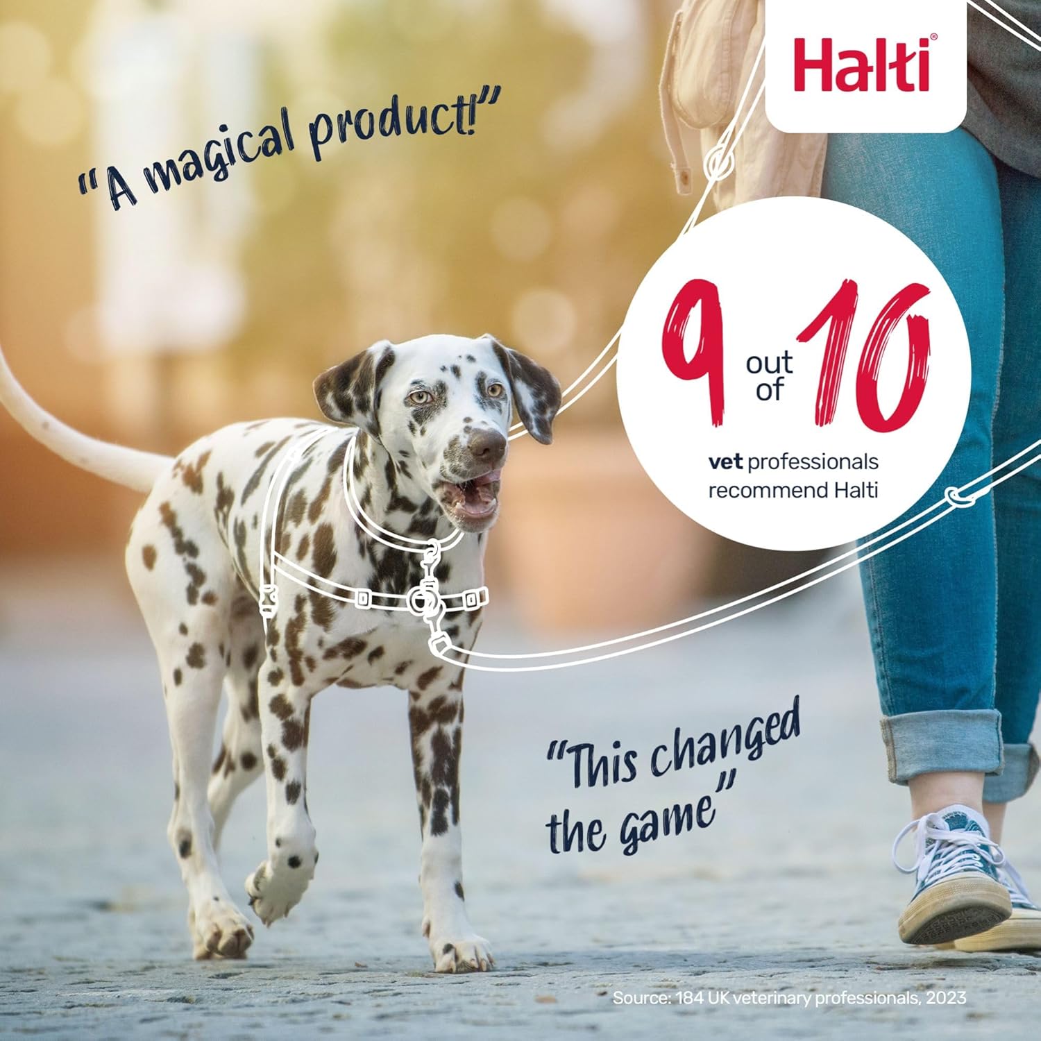 Halti Front Control Harness, Medium - Image 7