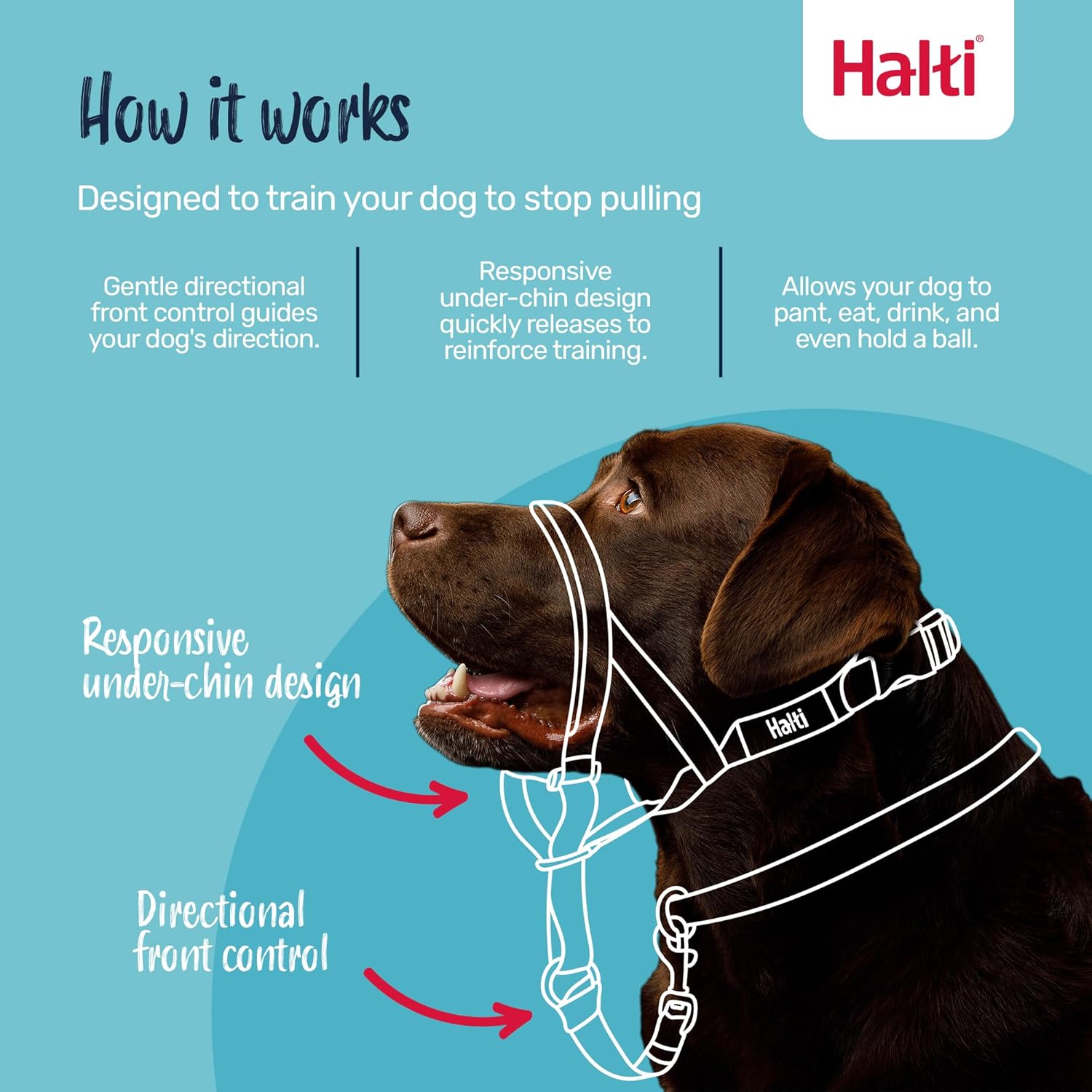 Halti Headcollar, Black, Size 3 - Image 3