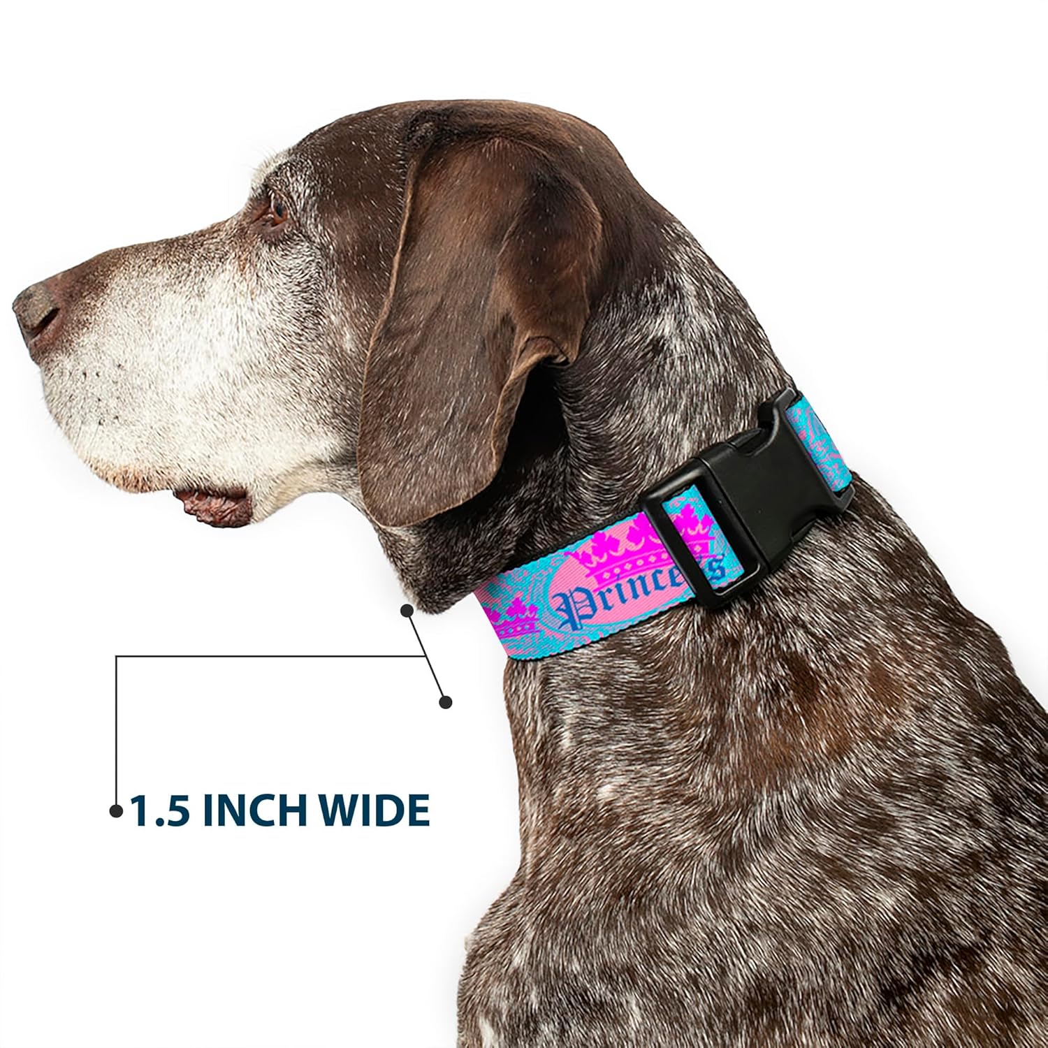 Buckle-Down PC-W30386-WM Dog Collar Plastic Clip Buckle, Crown Princess Oval Pink/Turquoise, 1.5" x 16-23" - Image 8