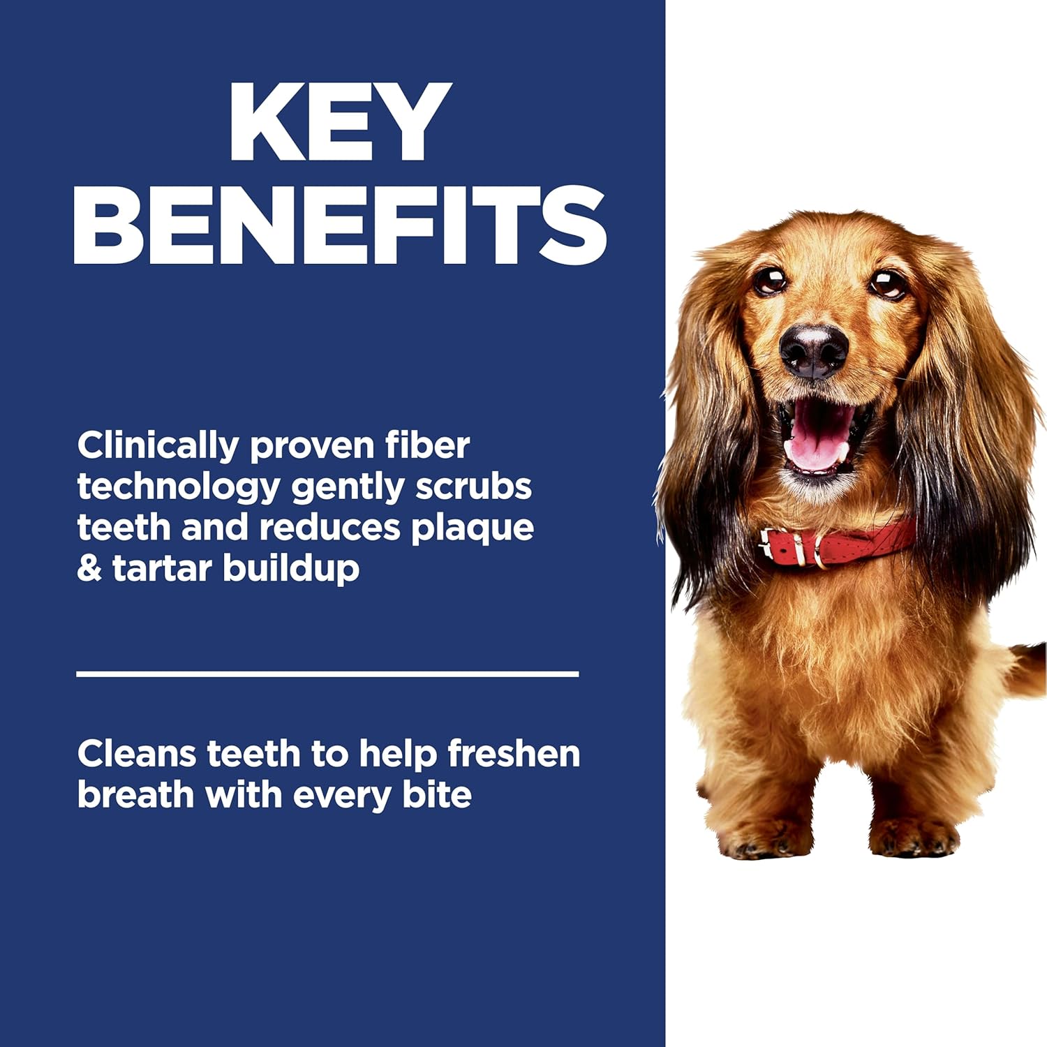 Hill's Science Diet Adult Oral Care Chicken, Rice & Barley Recipe Dry Dog Food 12.9 kg Bag - Image 7