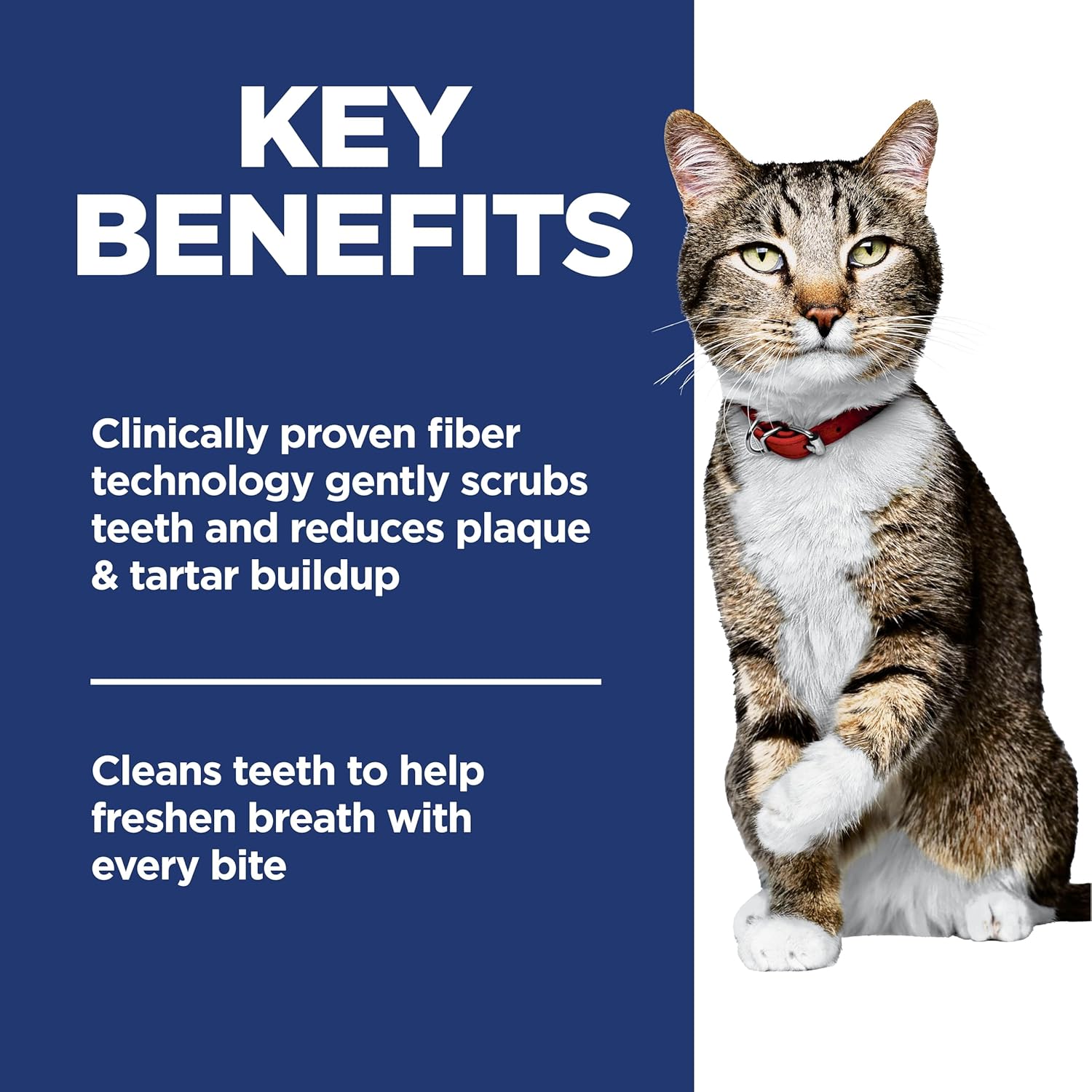 Hill's Science Diet Adult Oral Care Chicken Recipe Dry Cat Food 7.03 kg Bag - Image 8