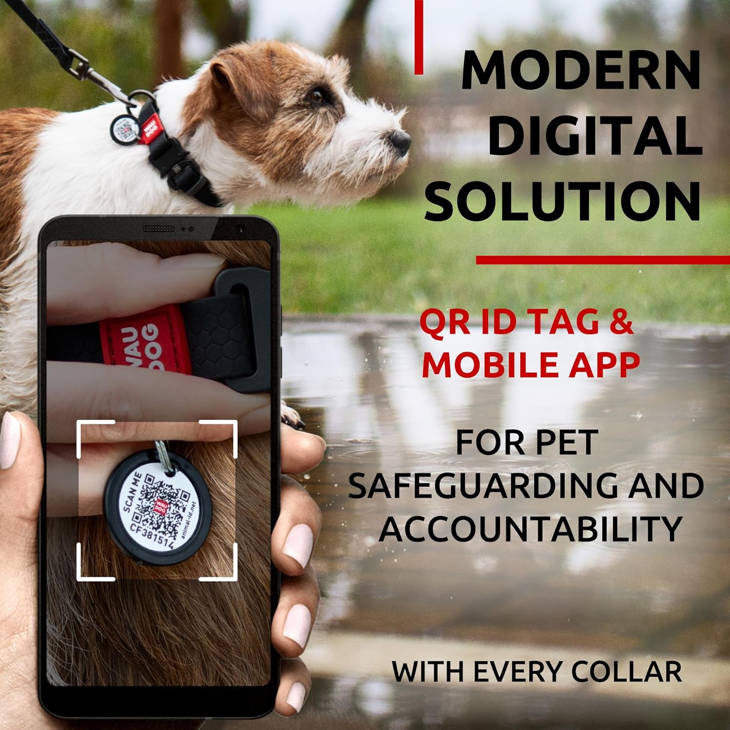 Waterproof Dog Collar - Adjustable Dog Collar for Large Dogs, Small and Medium Dogs - Heavy Duty Dog Collars with Durable Metal Clasp and QR Dog Tag - Boy & Girl Dog Collars (Black) - Image 6