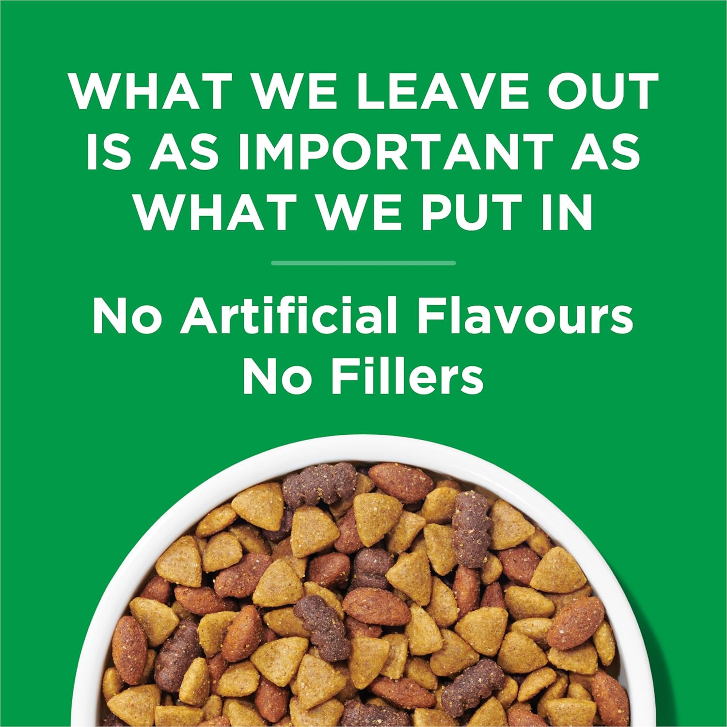 Dog Chow Complete Dry Dog Food, Chicken - 14 kg Bag - Image 9