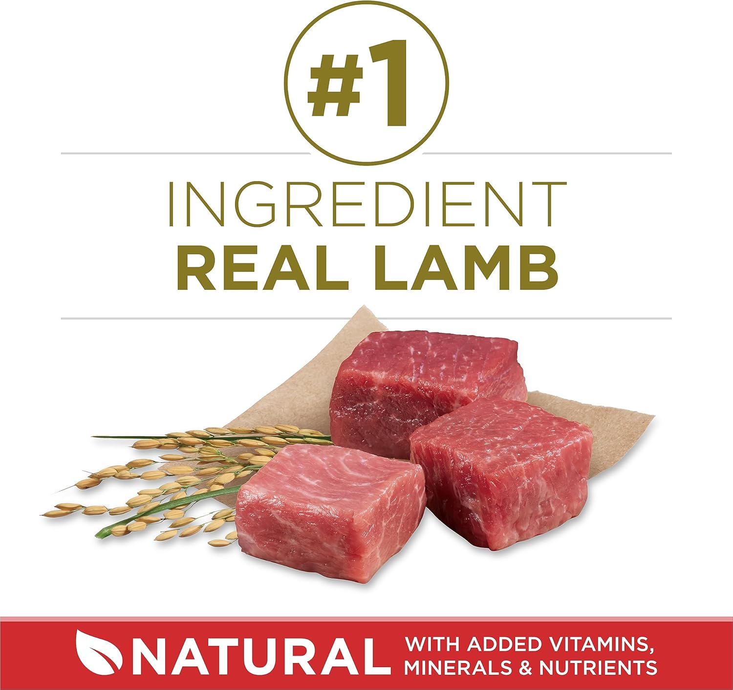 Purina ONE Dry Dog Food, Lamb & Rice - 14 kg Bag - Image 5