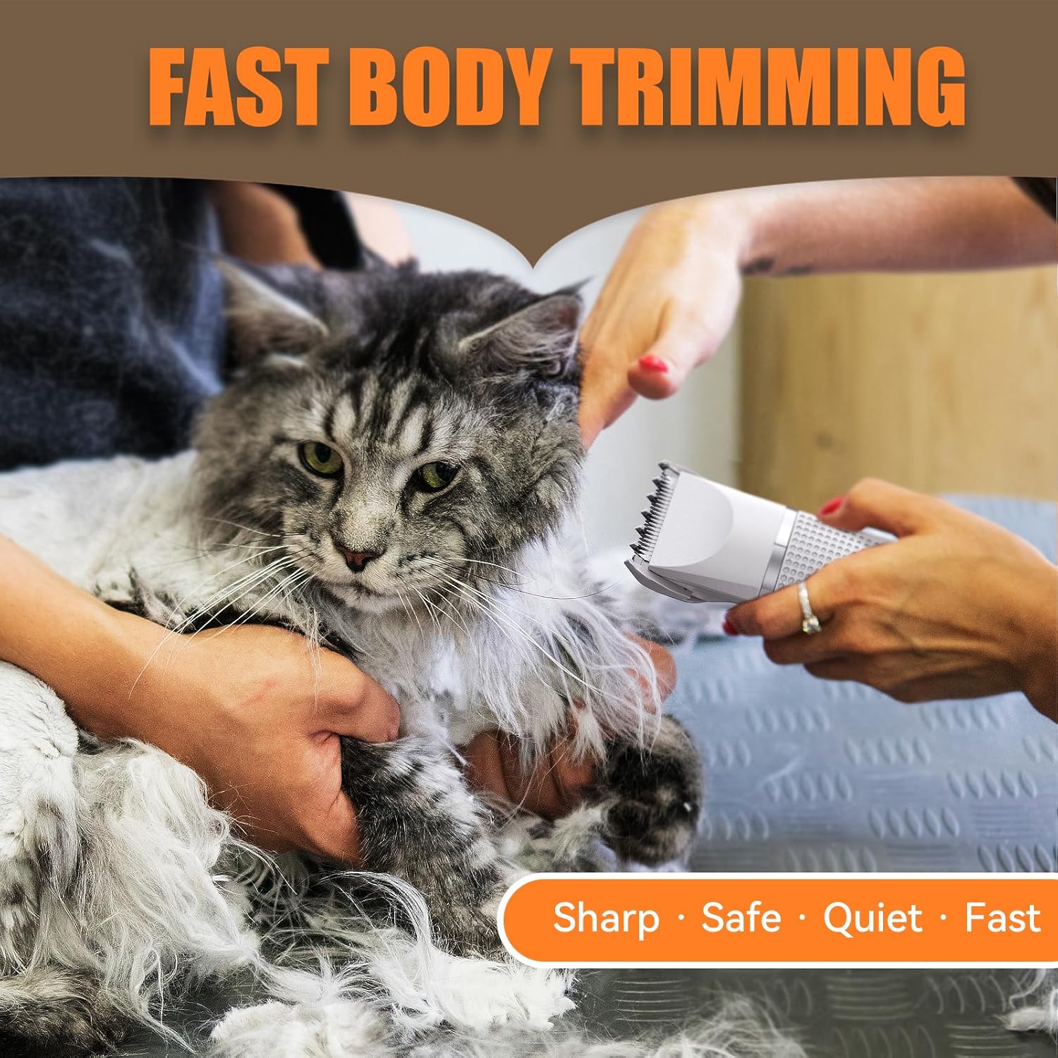 Bautrium Cat Grooming Clippers Kit with Paw Trimmer, 3 in 1 Electric Pet Hair Shaver Supplies for Thick Matted Hair, Heavy Coat Butt Cat Fur Razor for Dogs at Home - Image 8