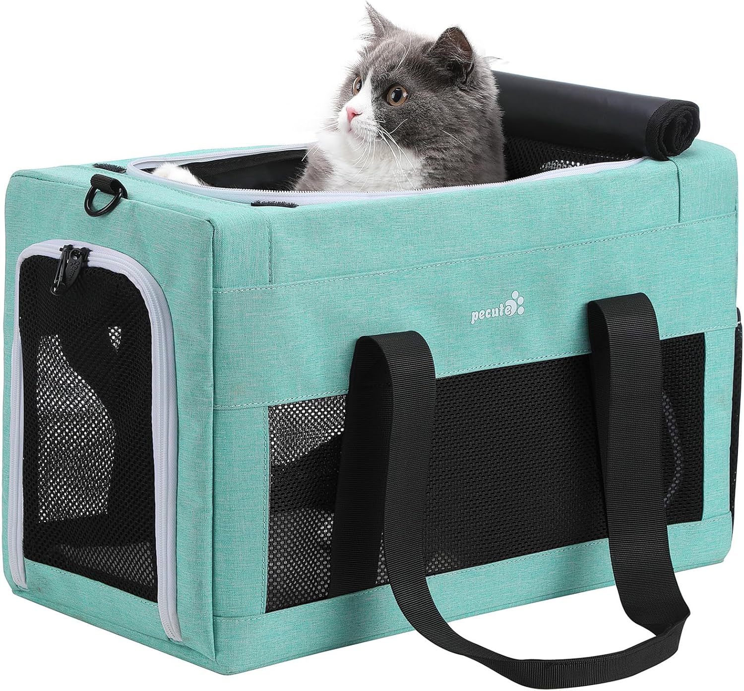 Pecute Cat Carrier Airline Approved, Thickened 5mm Steel Wire Frame, Stable Dog Carrier for Small Dogs, Breathable Foldable Pet Carrier with Sunshade, Suitable for Pets up to 5kg/11lbs (Blue) - Image 2
