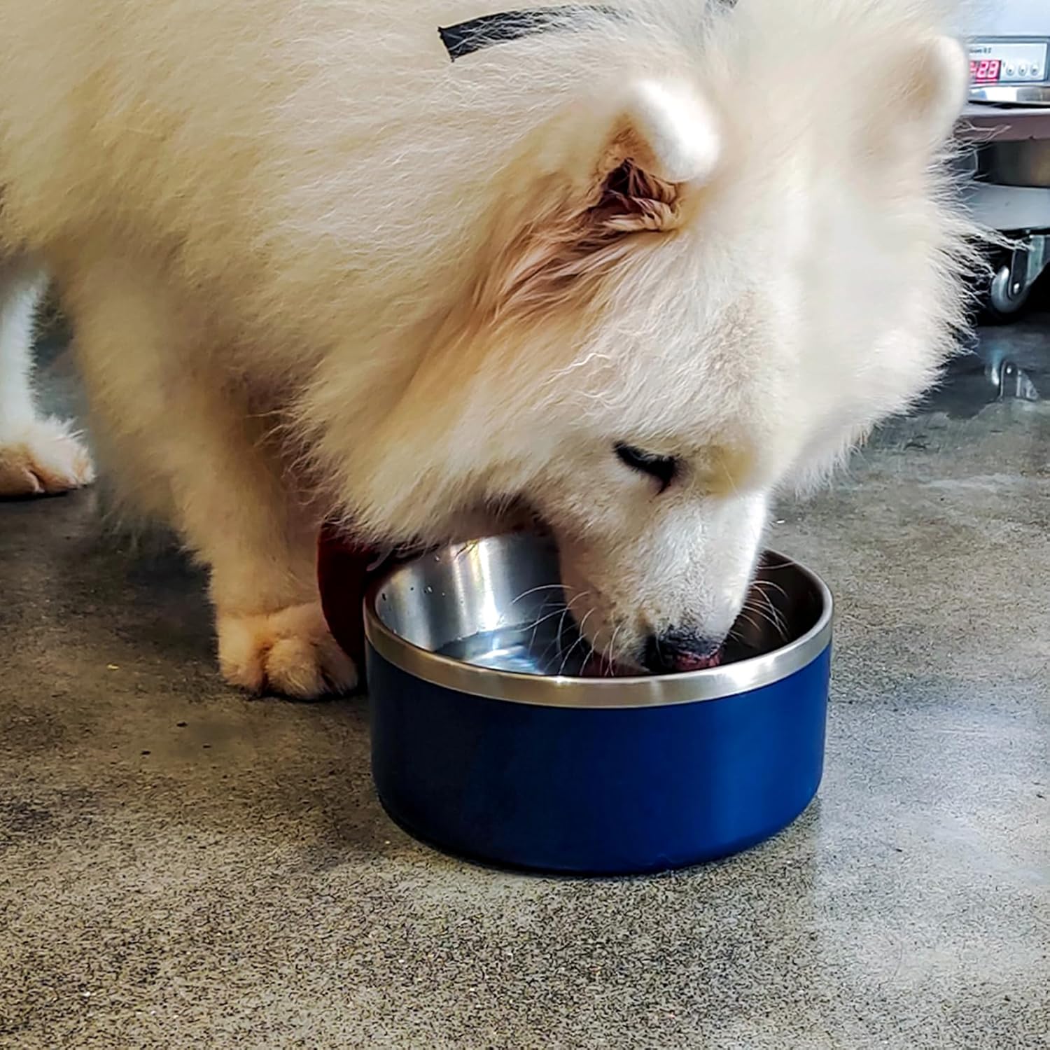 LIHOOOOM Dog Bowl, Anti-Slip Dog Water Bowl and Food Bowl, Non-Rusting Stainless Steel Dog Bowls, Durable and Easy to Clean, Suitable for Medium and Large Dogs (64 Ounces, Blue) - Image 7