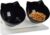 Cat Bowl with Raised Stand,Detachable and Transparent Double Cat Food Bowl,15° Tilted Cat Bowls Stress-Free Suit for Cats Small Dogs (Black)